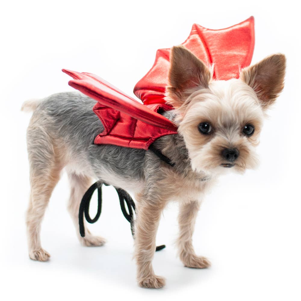 Dragon/Devil Wings Pet Costume