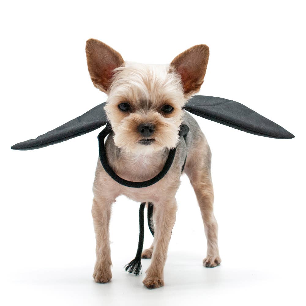 Bat Wings Pet Costume