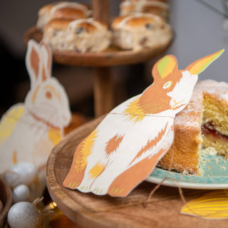 Rabbit and Chick Garland