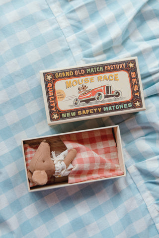 Big Sister Mouse in Matchbox