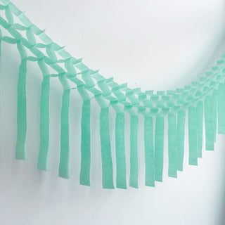 Mint Fringe Tissue Garland