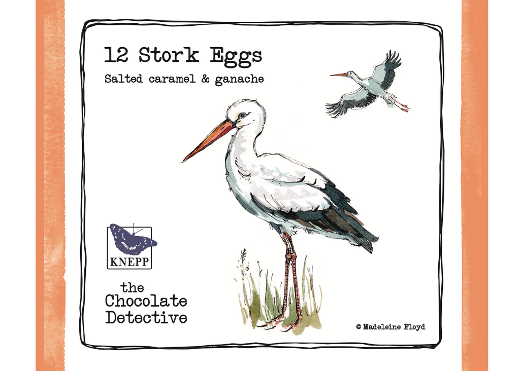 Stork Chocolate Praline Eggs - dozen
